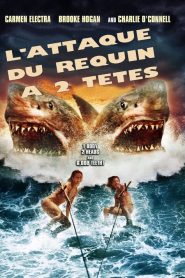 L&rsquo;attaque du requin à deux têtes