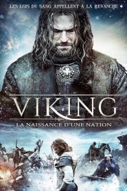 Viking, la naissance d&rsquo;une nation