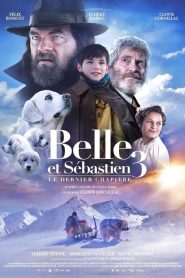 Belle et Sébastien 3 : Le Dernier Chapitre