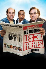 Les trois frères : Le retour