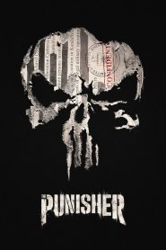 Marvel&rsquo;s The Punisher