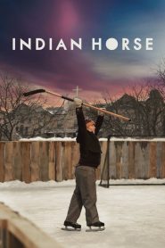 Cheval Indien