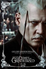 Les Animaux fantastiques : Les Crimes de Grindelwald