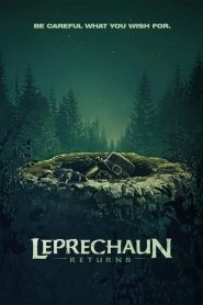 Leprechaun Returns