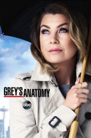 Grey&rsquo;s Anatomy