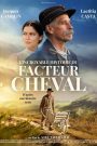 L&rsquo;Incroyable Histoire du facteur Cheval