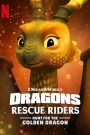 Dragons : Les Gardiens du ciel : À la poursuite du dragon d&rsquo;or