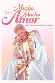 Mucho Mucho Amor : La légende de Walter Mercado