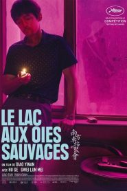 Le lac aux oies sauvages