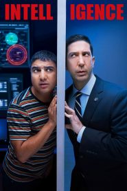 Intelligence: Saison 1