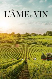L&rsquo;âme du vin
