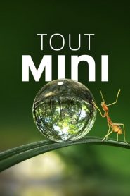 Tiny World: Saison 1