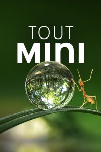Tiny World: Saison 1