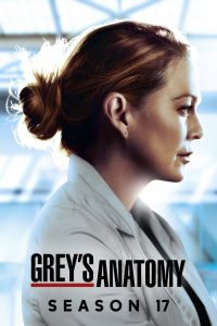 Grey&rsquo;s Anatomy: Saison 17