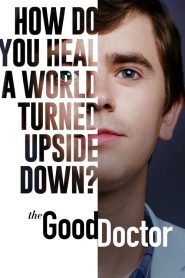 Good Doctor: Saison 4