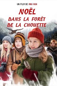 Noël dans la forêt de la chouette