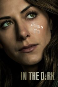 In the Dark: Saison 4