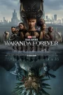 Black Panther : Wakanda Forever