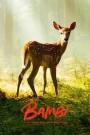 Bambi, l&rsquo;histoire d&rsquo;une vie dans les bois