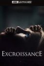 Excroissance