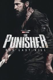 The Punisher : One Last Kill